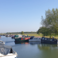 Boats in Port Meadow