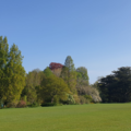 Trees in University Parks